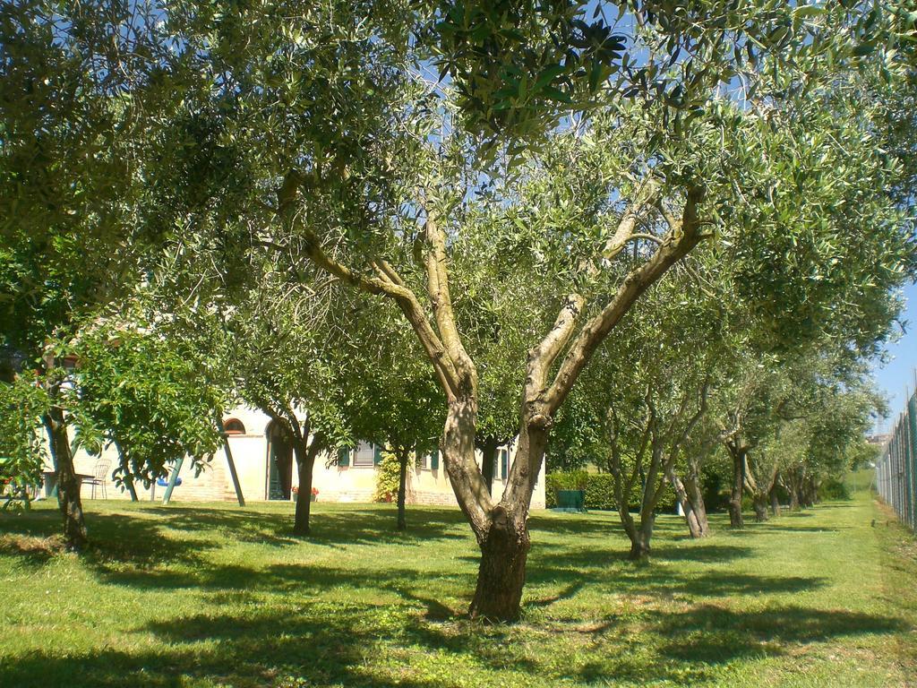 I Ciliegi Panzió Osimo Kültér fotó