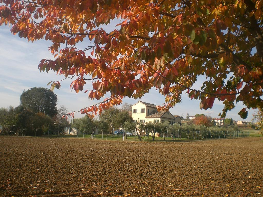 I Ciliegi Panzió Osimo Kültér fotó